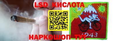 ГАЛЛЮЦИНОГЕННЫЕ ГРИБЫ Тара