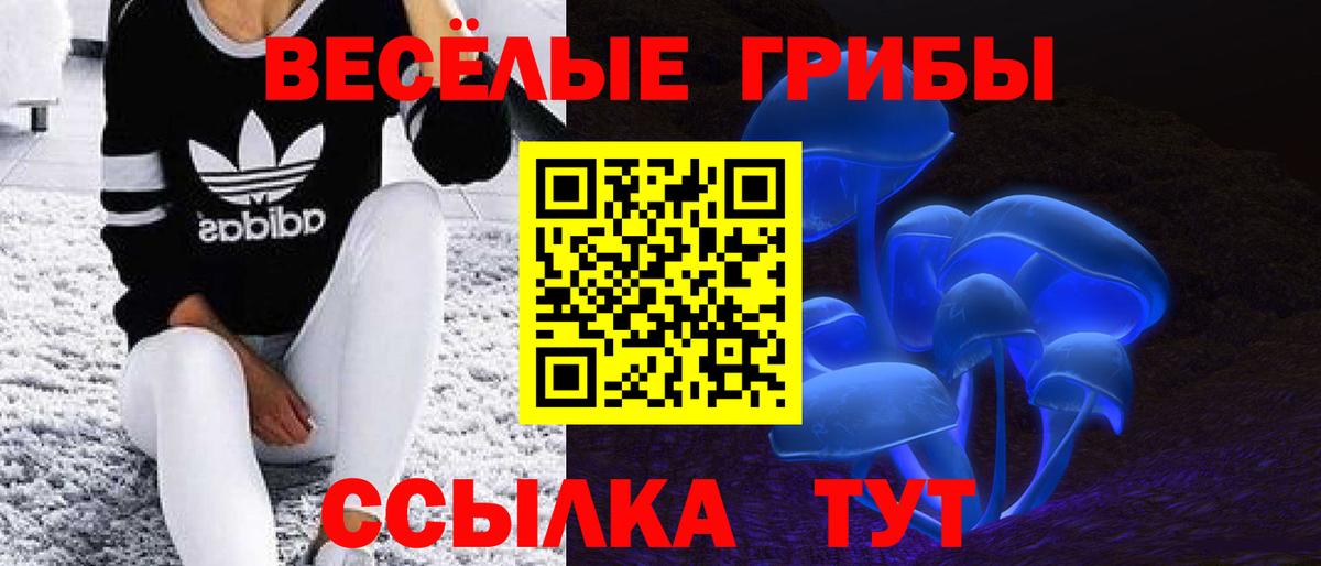 Новороссийск  Галлюциногенные грибы Cubensis  Вход с VPN  Псилоцибиновые грибы мицелий 